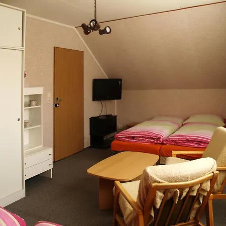Διαμέρισμα Privat Hnyk *
